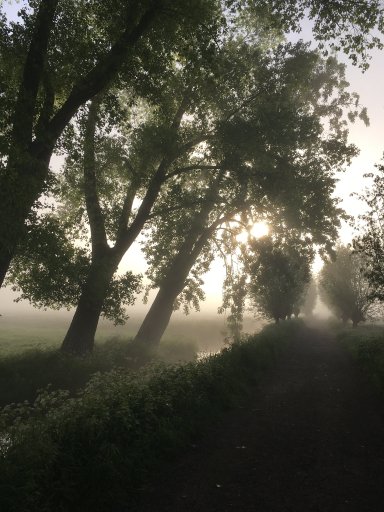 Foto Tiendweg